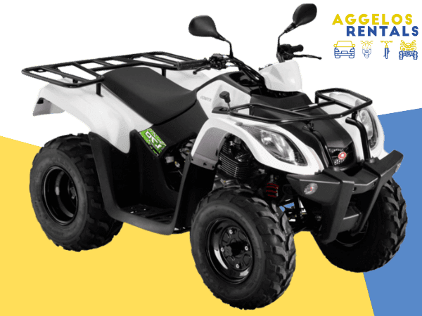 ATV 300cc